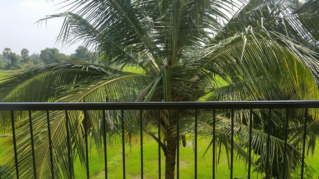 Hotel Serene View Tourist Rest Anuradhapura Zewnętrze zdjęcie