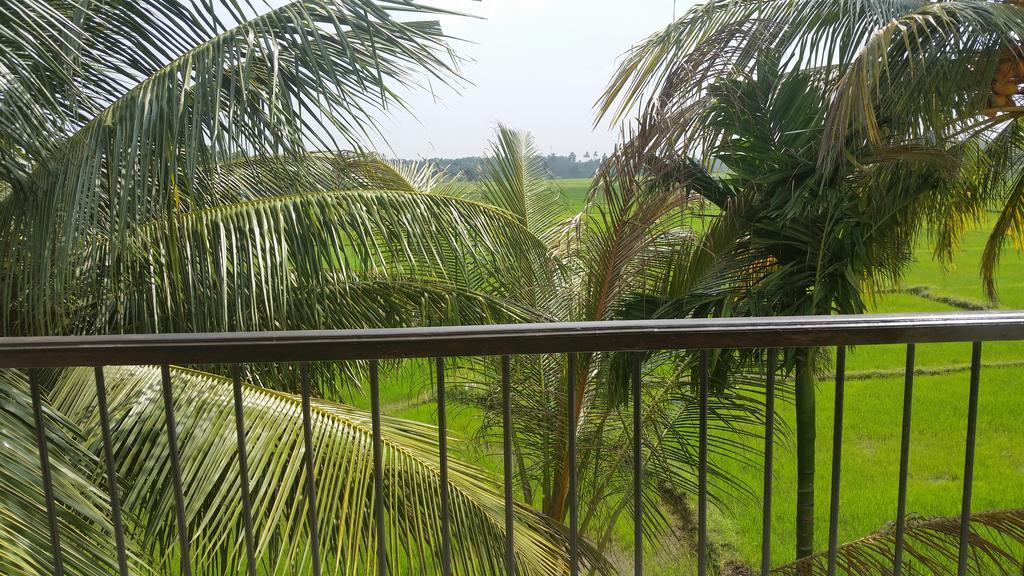 Hotel Serene View Tourist Rest Anuradhapura Zewnętrze zdjęcie