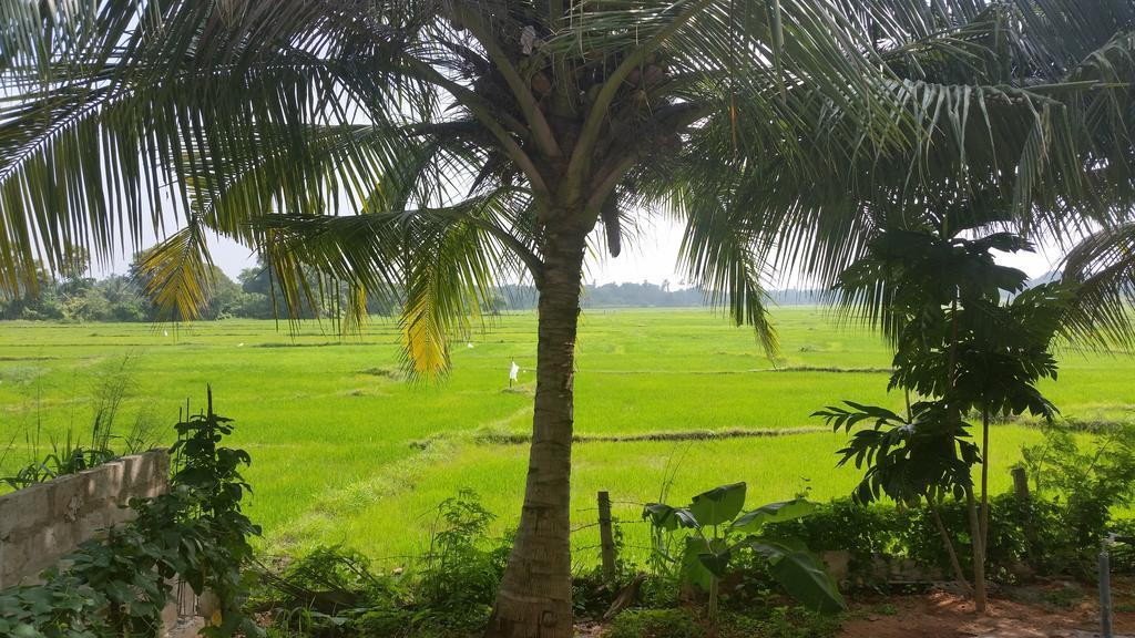 Hotel Serene View Tourist Rest Anuradhapura Zewnętrze zdjęcie
