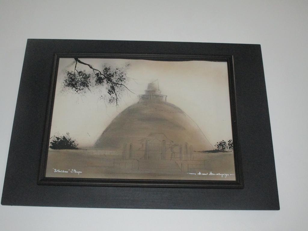 Hotel Serene View Tourist Rest Anuradhapura Zewnętrze zdjęcie
