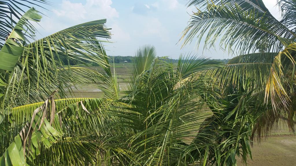 Hotel Serene View Tourist Rest Anuradhapura Zewnętrze zdjęcie