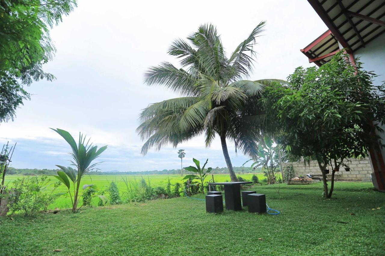 Hotel Serene View Tourist Rest Anuradhapura Zewnętrze zdjęcie