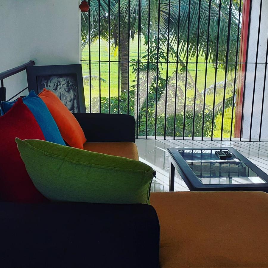 Hotel Serene View Tourist Rest Anuradhapura Zewnętrze zdjęcie